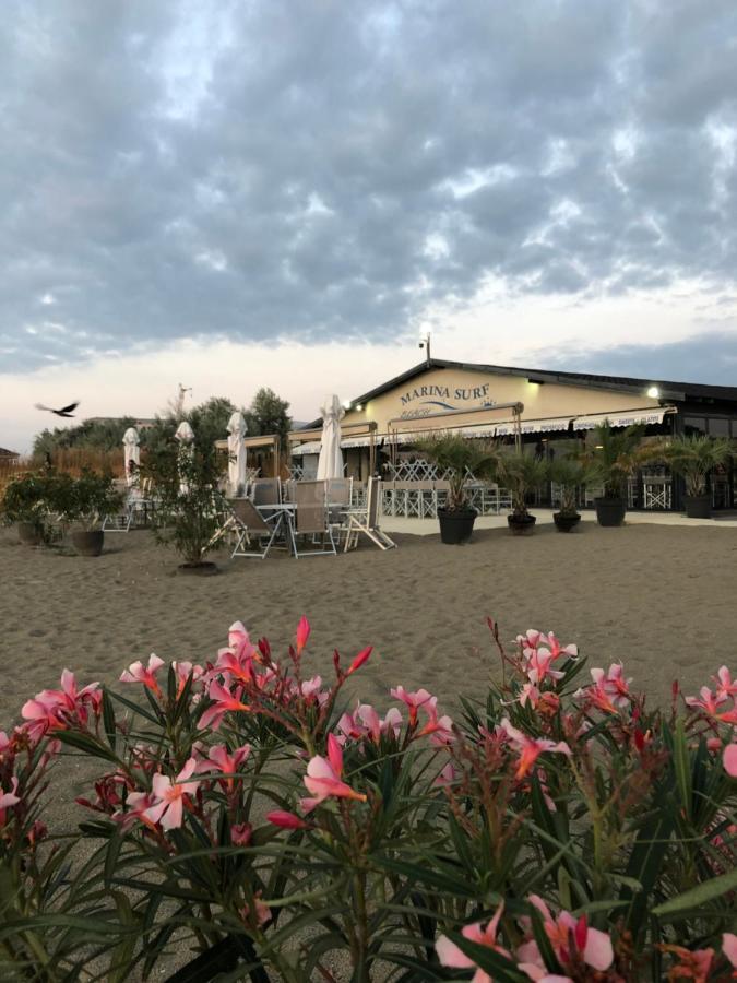 Marina Surf Hotel Năvodari Eksteriør billede