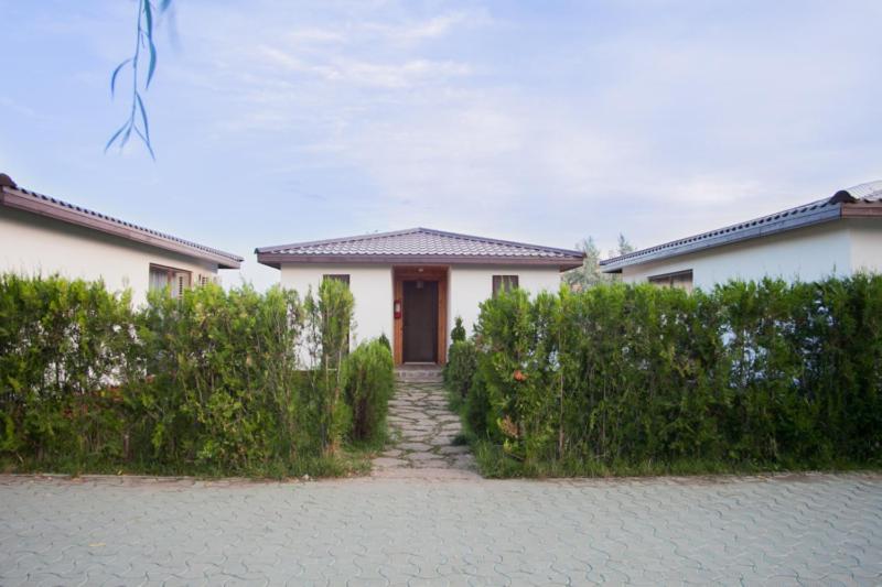 Marina Surf Hotel Năvodari Eksteriør billede